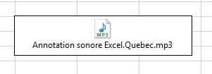 annotation sonore Excel