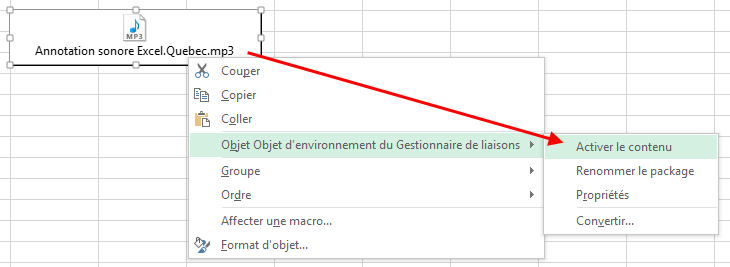 Lire annotations sonores Excel