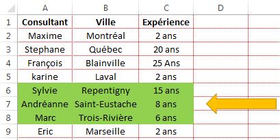Quadrillage exemple remplissage - Excel Québec
